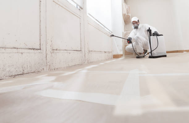 24/7 Emergency Black Mold Remediation experts in North Bend, WA